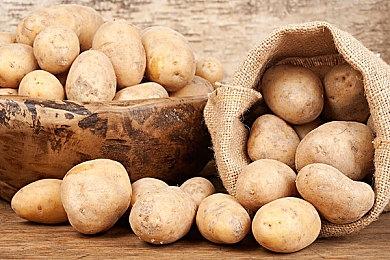 《恶魔失眠》Steam抢先体验将开 恐怖合作FPS